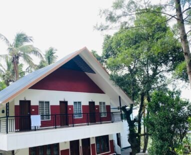 WhatsApp Image 2025-12-28 at 2.53.06 PM