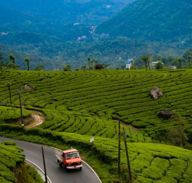 anas-anwar-qvGHROuM1sI-unsplash